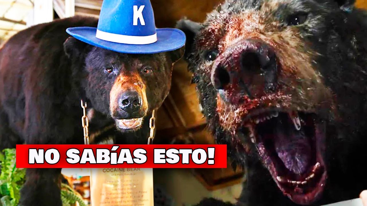 La historia real del oso vicioso