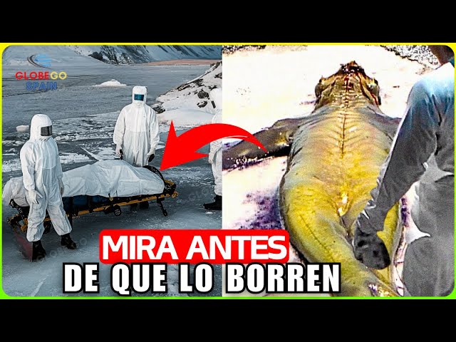 Descubre las fascinantes historias de misterio
