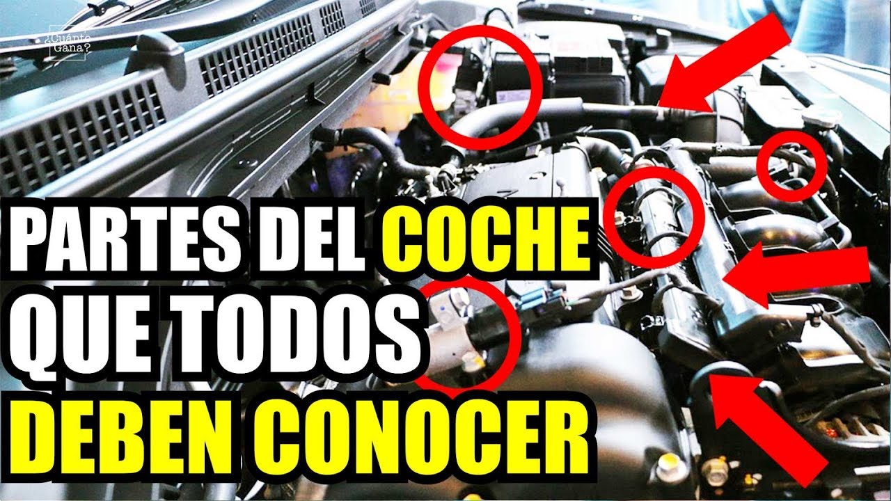 El historial del vehículo: todo lo que necesitas saber