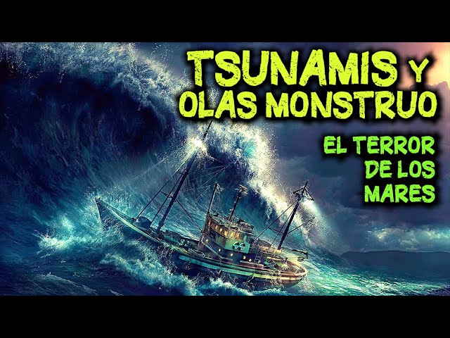El tsunami más grande de la historia