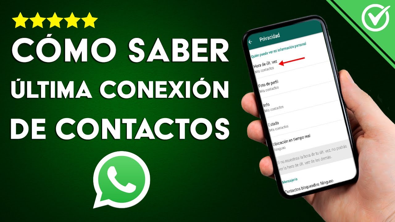 Cómo ver el historial de conexiones en WhatsApp