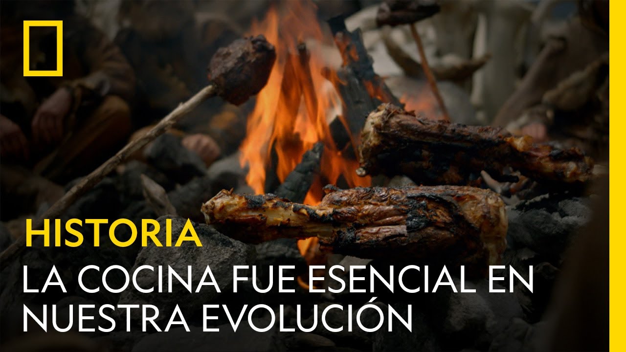 La historia de la comida: desde los orígenes hasta la actualidad