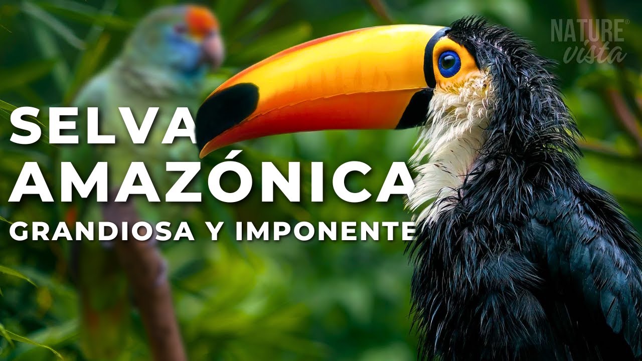 La historia natural: un recorrido por la naturaleza