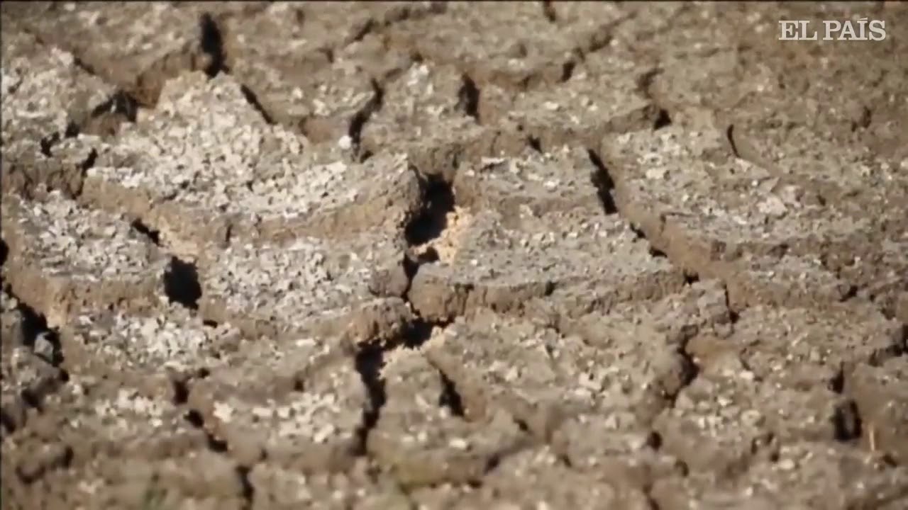 El verano más caluroso de la historia: una ola de calor sin precedentes