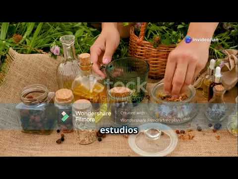 La fascinante historia de la farmacia
