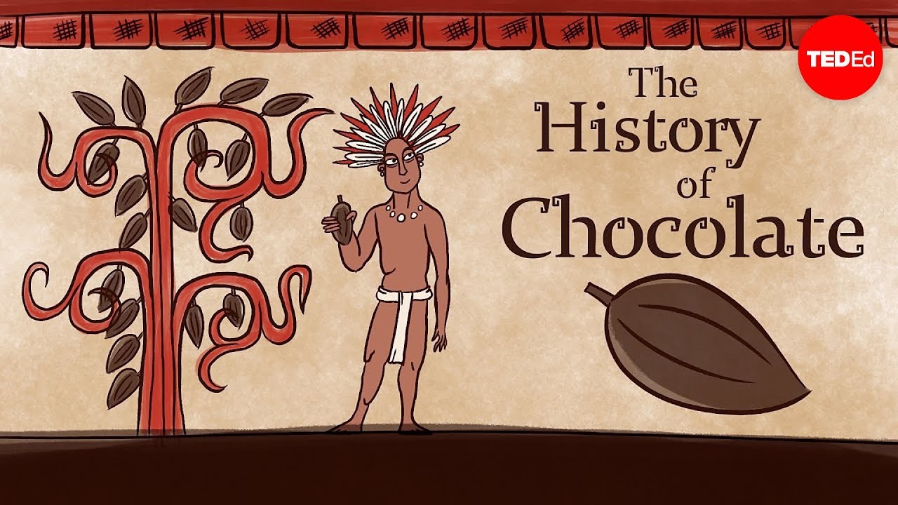 La fascinante historia del cacao