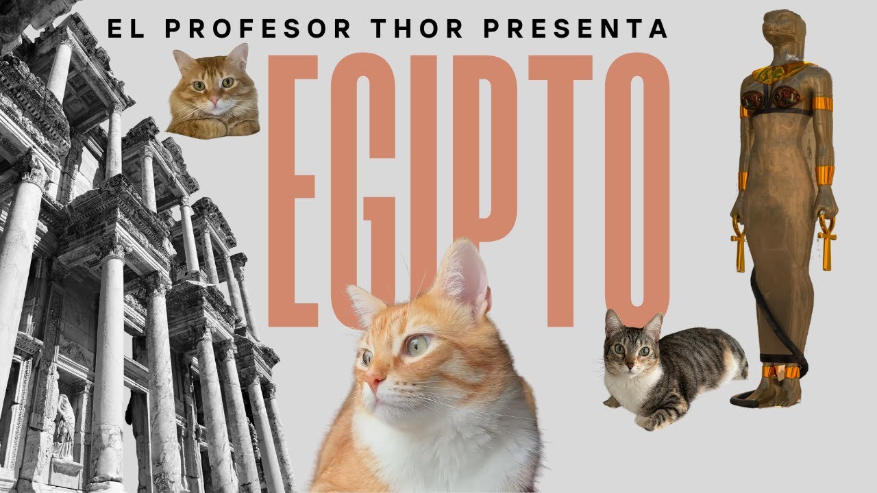 La fascinante historia de los gatos