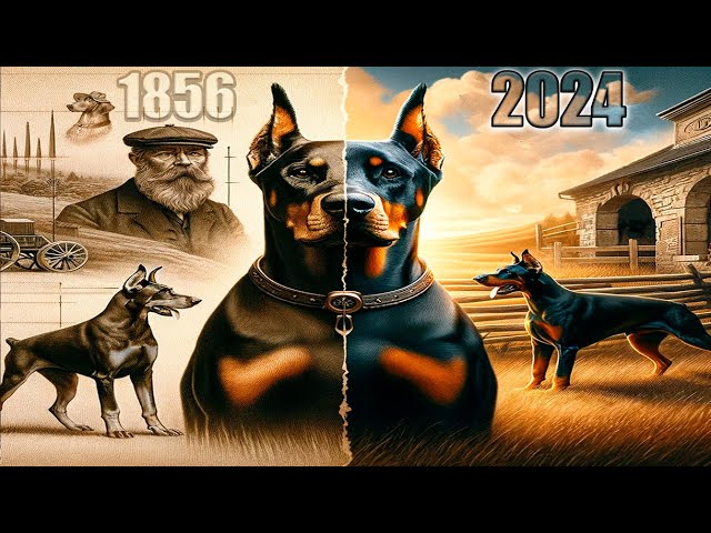 La historia del Doberman