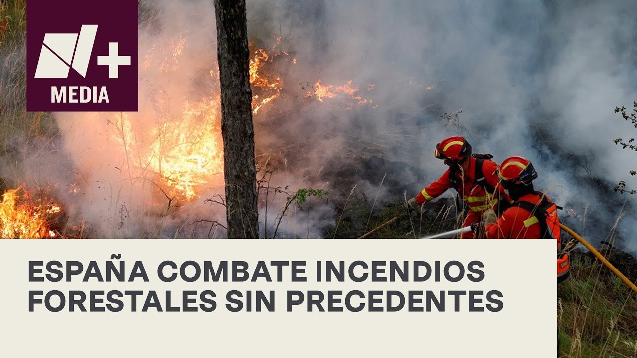 Los mayores incendios forestales de la historia: una catástrofe ambiental sin precedentes