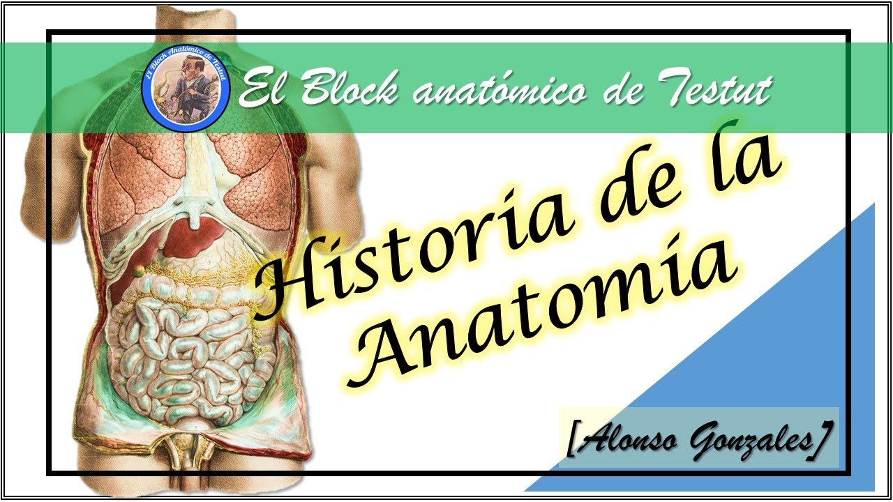 La fascinante historia de la anatomía