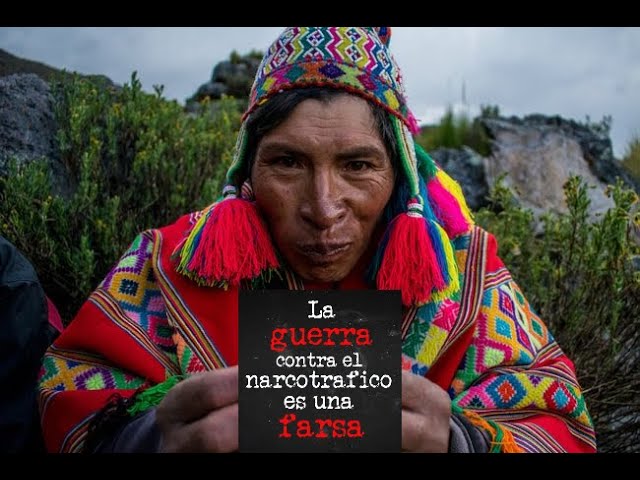 La historia de la cocaína: desde sus orígenes hasta la actualidad