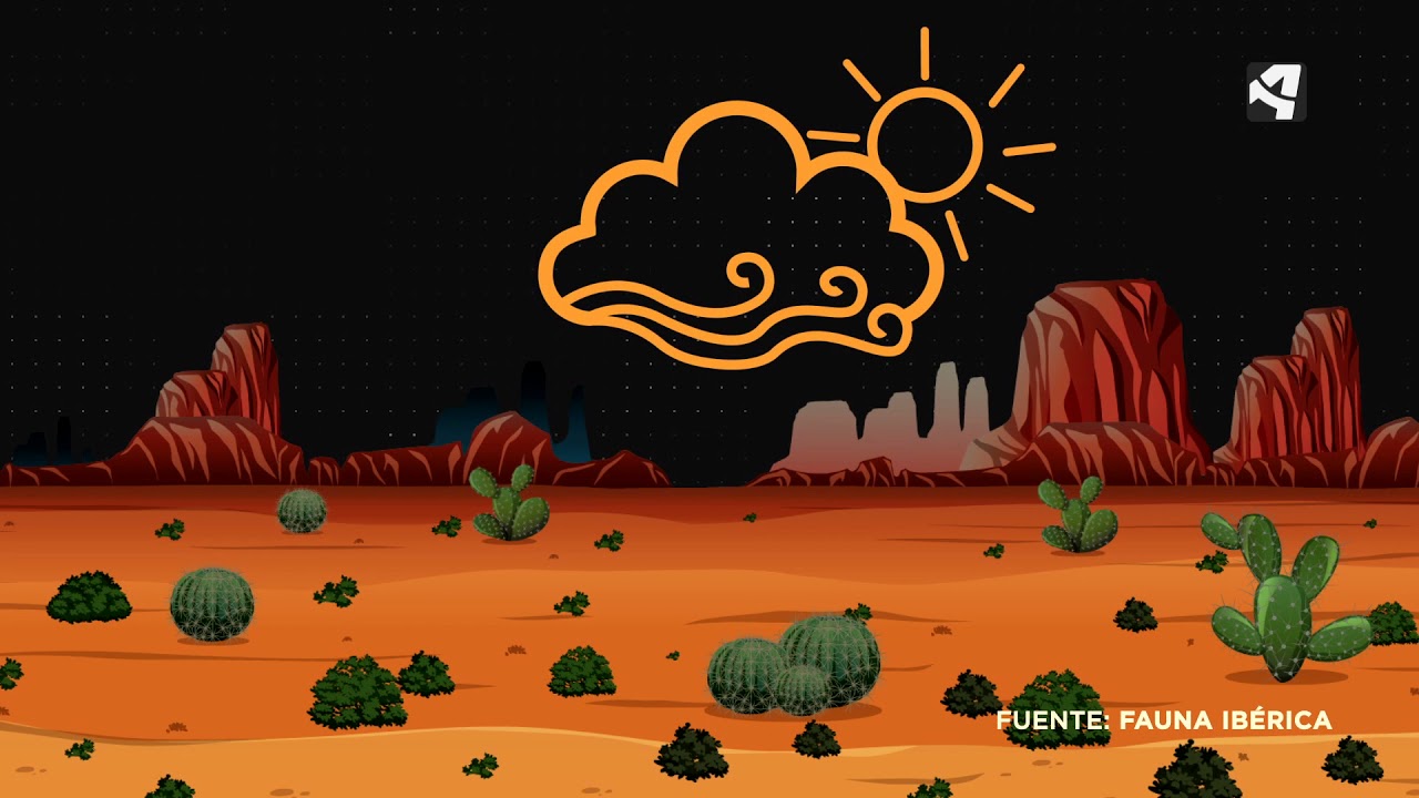 La historia del desierto de los Monegros