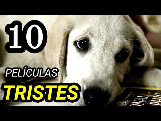 Las películas más tristes de la historia