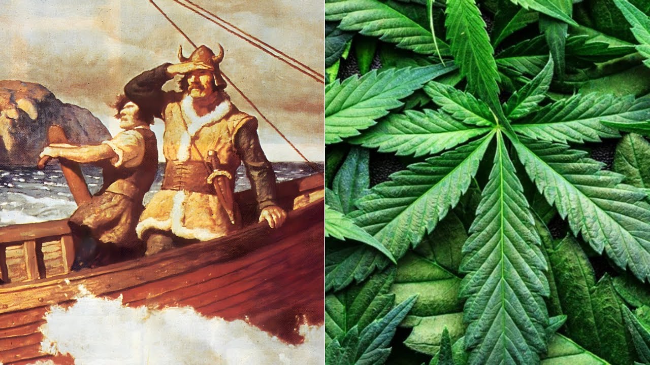 La historia de la marihuana: desde sus orígenes hasta la actualidad