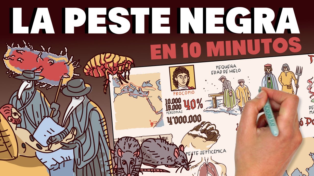 La historia de la peste negra: una devastadora epidemia en la Edad Media