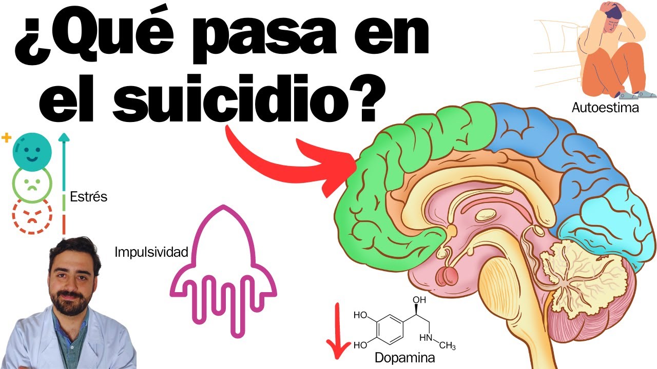 La historia del suicidio: un recorrido por sus causas y consecuencias