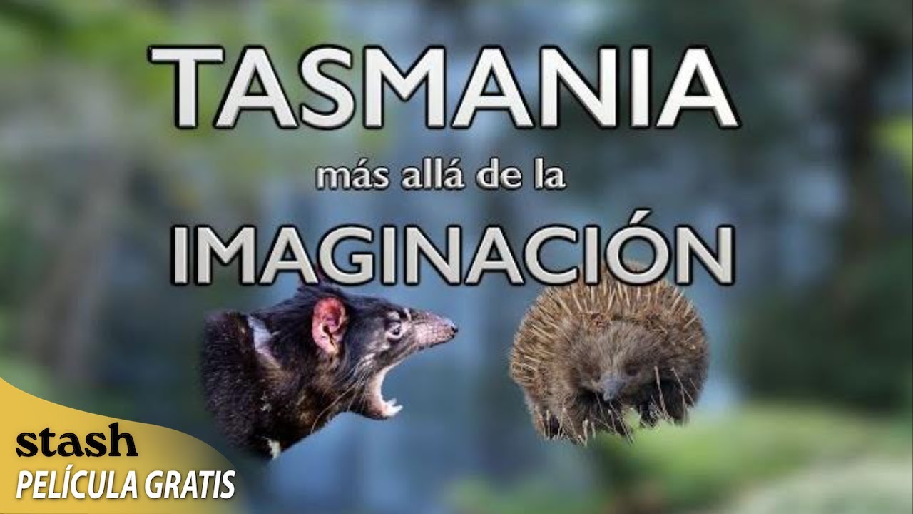 Tasmania: Una película basada en una historia real