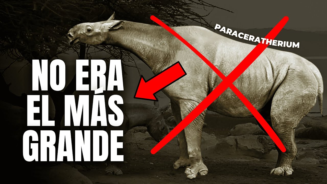 El mamífero terrestre más grande de la historia