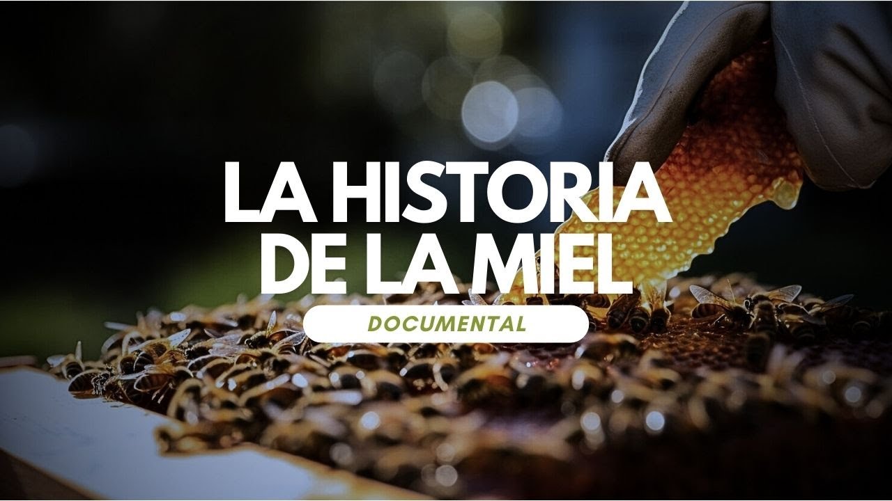 La fascinante historia de la miel