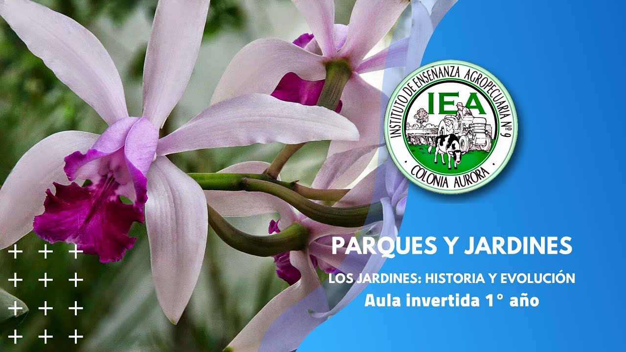 La historia de la jardinería: desde sus orígenes hasta la actualidad