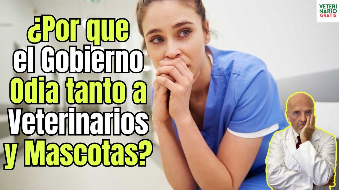 La historia de la veterinaria: evolución y avances en el cuidado animal