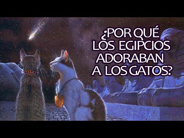 La historia del gato egipcio